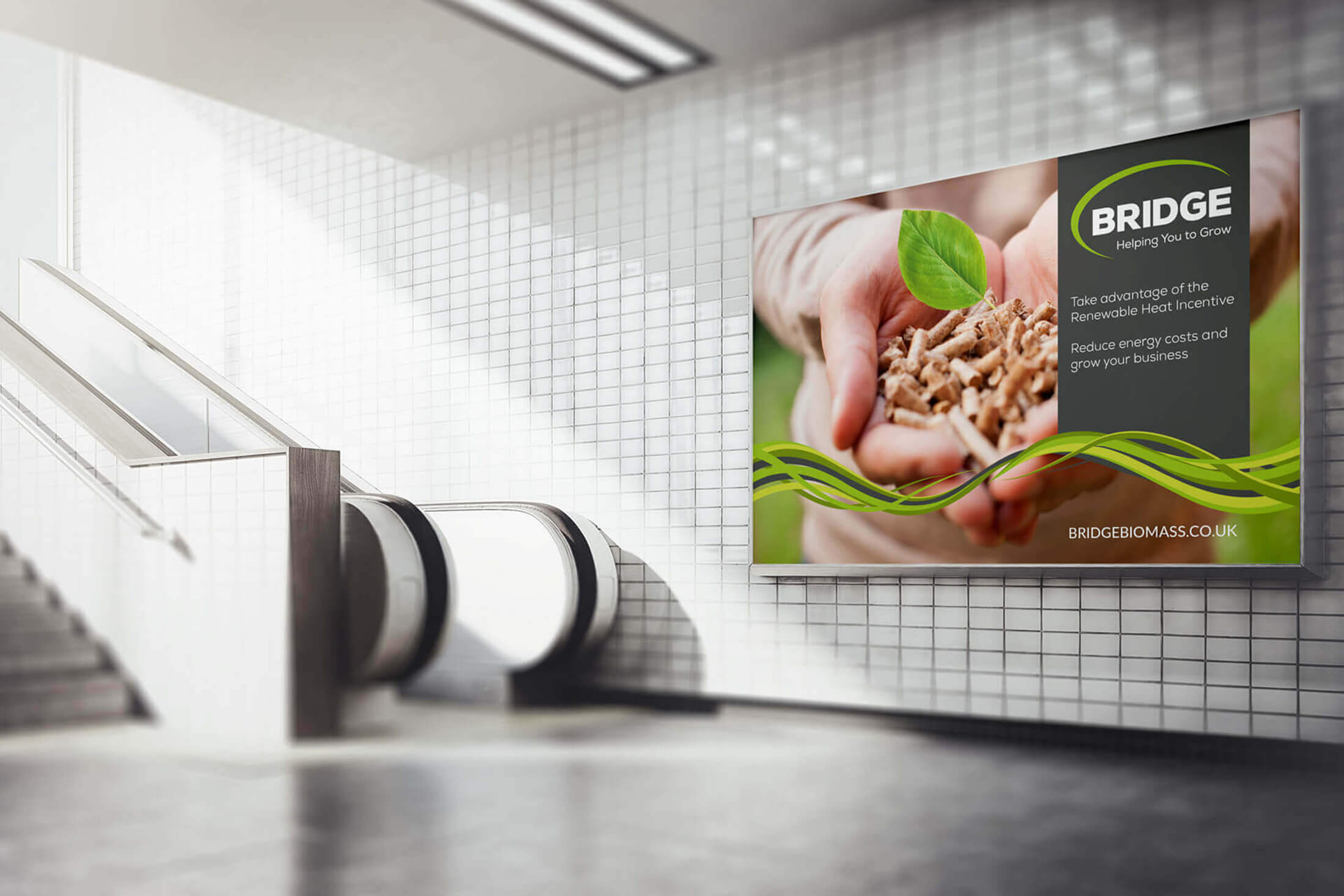 Print Advertising